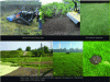 Figure 11 - Photographs of the stages involved in setting up the plant cover (brush clearing, pre-seeded blanket) using a robot, and of the vegetation on the site after four months.