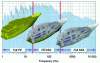 Figure 2 - Different methods are used to characterize a vessel's vibratory response, depending on the frequency range concerned (source: Principia).