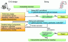 Figure 15 - Proposed procedure for sizing and optimizing force feedback interfaces (EDT: workspace)