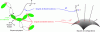 Figure 1 - Configuration space of a locomotor system: principal fiber