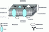 Figure 11 - Constitution of a plasma membrane