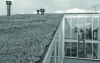 Figure 32 - Green roof with EPDM membrane (© P. Cognard).
