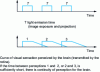 Figure 4 - Perception of light by the human eye
(from CST)