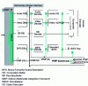 Figure 23 - Possible IPMP control points in MPEG-4 terminal architecture [55]