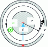 Figure 31 - Electron motion in the presence of a transverse magnetic field