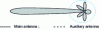 Figure 49 - SLS: layout of main and auxiliary antennas