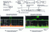 Figure 11 - Parallelized implementation for the reception of a GSM-type impulsive signal, sampled in the time domain.