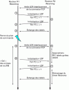 Figure 17 - Graceful Restart procedures for LDP