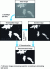 Figure 6 - Example of image processing (based on [21])