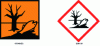 Figure 1 - Pictogram of the "N" symbol (left: 67/548/EC; right: new "GHS 09" pictogram according to 2008/1272/EC)