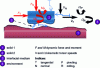 Figure 1 - Schematic representation of a tribological contact [1].