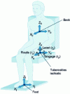 Figure 6 - Axes of vibratory stimulation of the human body in the seated position