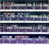 Figure 9 - Distribution of ships at berth on the south quay of the Kingston container terminal (from top to bottom: February 19, 2023, February 16, 2024, July 7, 2024, March 11, 2025) (© Google Earth)