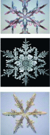 Figure 7 - Examples of snow crystals (based on L. Bonnary [53])