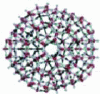 Figure 8 - Icosahedral model of water (based on M. Chaplin [55])