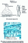 Figure 24 - Stretch membrane production 