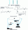 Figure 25 - Interfacial polymerization 