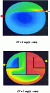 Figure 9 - Rehabilitation of a chlorine contact tank by adding baffles