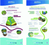 Figure 16 - Examples of infographics aimed at farmers and local residents to help maintain riparian zones in good ecological condition (SMRB documents)