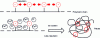 Figure 5 - Effect of salinity on polymer conformation