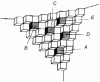 Figure 2 - Surface of the (111) face of a simple cubic crystal (the various adsorption, half-crystal, and incorporation sites are designated by the same letters as in Figure)