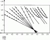 Figure 97 - RMA of isotactic polypropylene