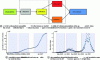 Figure 13 - Infectious chain, from the susceptible
S, through those exposed to the infectious agent but not yet infected
E, the infectious I, immediately reported cases R or those reported
later or never U, to those immune or dead after infection. Cumulative
cases observed (black dots) and curve predicted by the model (in blue),
and daily cases observed (black dots) and curve derived from cumulative
cases (in blue) during the different waves (on a light blue background).