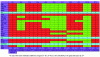 Figure 4 - Attractors (stationary states) of the network responsible for
familial angioedema, 11 in number