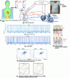 Figure 5 - Digital twin simulating the cardiorespiratory
model (CRM) and CRM interaction graph. Intelligent vest for recording
thoracic ampliation airflow and ECG during wakefulness and sleep.
Inter-beat durations of cardiac cycles (n-1) and n, RR(n-1) and RR(n),
in sleep and wakefulness, and simulation of equations (1) in sleep
and wakefulness, with greater amplitude and period in sleep.