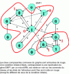 Figure 8 - Genetic interaction graph controlling flowering in Arabidopsis thaliana
