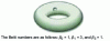 Figure 29 - Example of a surface with an edge and
a hole: a torus with a hole