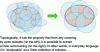 Figure 6 - Example of a compact subset of the Euclidean
plane …