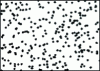 Figure 18 - Generating a 2-dimensional point random field within a rectangular frame