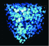 Figure 20 - Implementation of a Boolean random field of balls in a cube