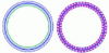 Figure 43 - Convergence of curves in the sense of Pompéiu-Hausdorff and convergence/divergence of their lengths