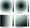 Figure 48 - Signed distance functions on a subset of the Euclidean plane …