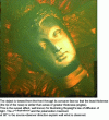 Figure 10 - Silicone mold, whitish to milky in reflection for daylight, appearing golden, yellow to orange in transmitted light (desk lamp against back of mold).