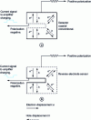 Figure 37 - Charge collection process in a conventional coaxial detector...