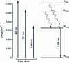 Figure 13 - Excitation and emission of erbium in a silica-based fiber used for optical amplification