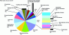Figure 1 - Categorization of social and professional activities