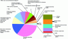 Figure 2 - Breakdown of socio-professional categories