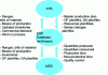 Figure 6 - Diagram of a common configuration with central ERP (Crédit Medial Conseil Formation)
