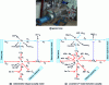 Figure 7 - Overview and bond graph models deterministic in integral causality and uncertain LFT in causality derived from the boiler