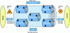 Figure 2 - Five value-added processes
