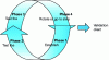 Figure 5 - Customer Discovery Process