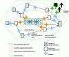 Figure 1 - Scope of integration. Four territories for supply chain integration