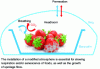 Figure 8 - An example of a case study that can be tackled using the TailorPack simulator: gas transfers (O2, CO2, N2) in the system depend on permeation through the packaging and respiration of the food.