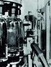 Figure 2 - Labelling system for PET soft drinks and mineral water bottles