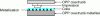 Figure 6 - A complex consisting of two OPP layers, one of which is metallized