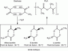 Figure 18 - Synthesis of PLA